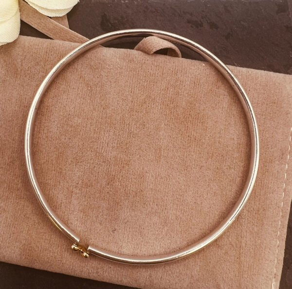 silver bangle with gold heart